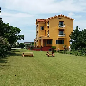 준 하우스 호스텔 제주